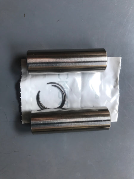 Ducati - Pins set and Clips for Kit Ducati 1000 DS motor all, code FS6 ...